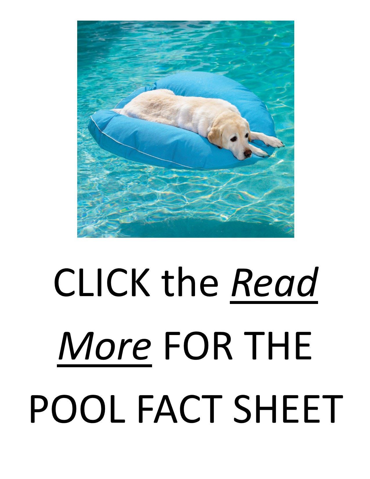 POOL POSTER for WEBSITE